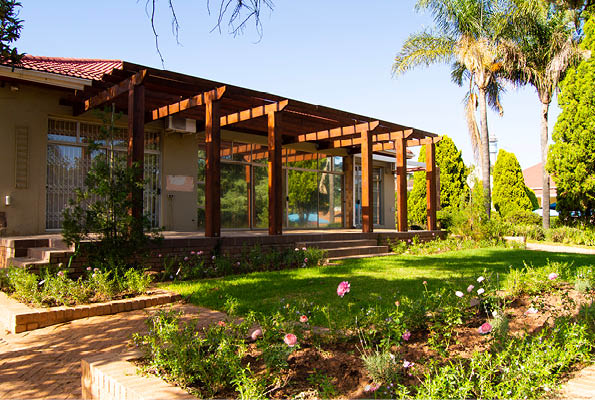 Organic Kitchen gardens