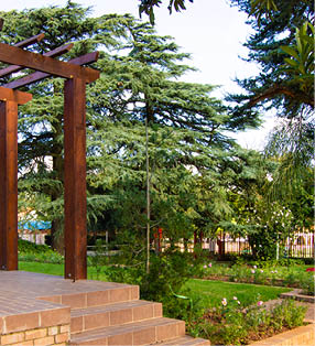 joys garden club