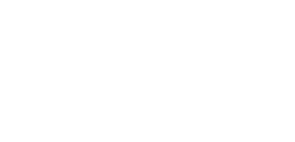 Proudly South African and ideal for those shady spots in your garden where nothing else will grow  Although orange fl   