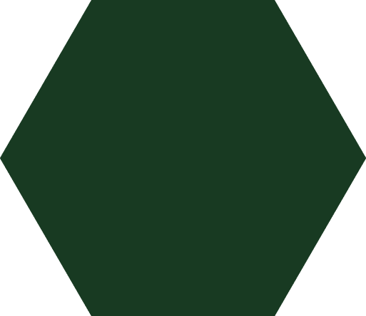 Polygon