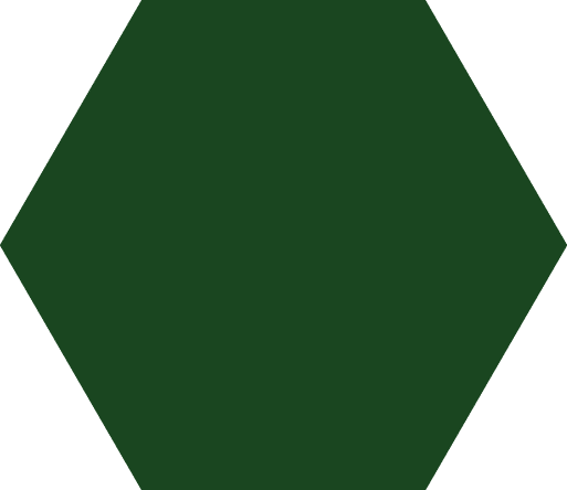 Polygon