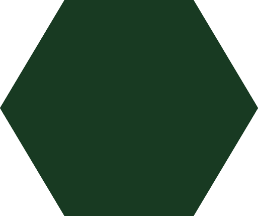 Polygon