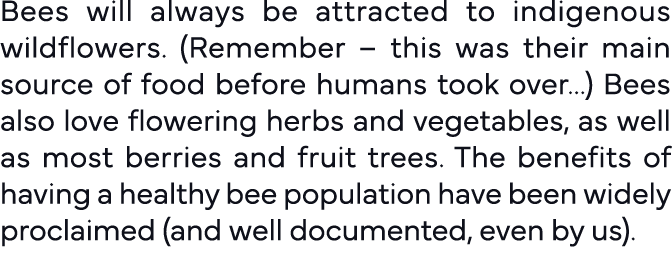 Bees will always be attracted to indigenous wildflowers  (Remember   this was their main source of food before humans   
