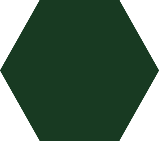 Polygon