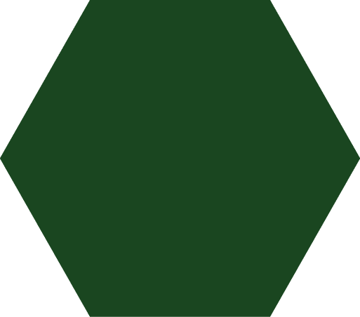 Polygon