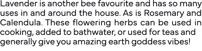Lavender is another bee favourite and has so many uses in and around the house  As is Rosemary and Calendula  These f   