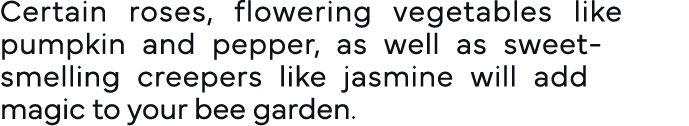 Certain roses, flowering vegetables like pumpkin and pepper, as well as sweet-smelling creepers like jasmine will add   