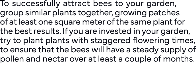 To successfully attract bees to your garden, group similar plants together, growing patches of at least one square me   