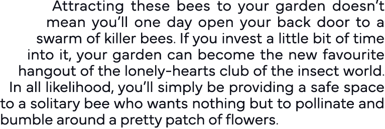Attracting these bees to your garden doesn t mean you ll one day open your back door to a swarm of killer bees  If yo   
