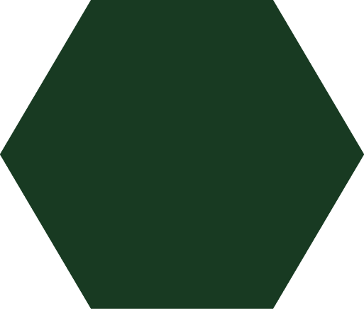 Polygon