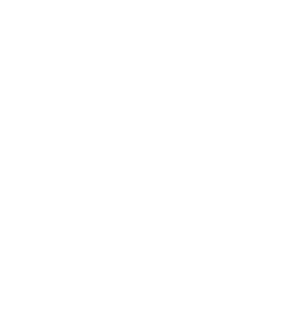Remember: If you have two different size Bearded dragons, it is a good idea to keep them in separate tanks until they   
