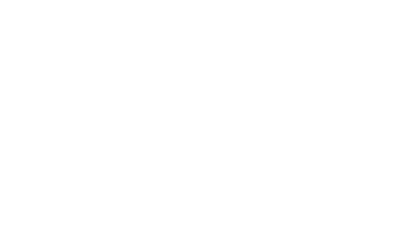 3 Kids, 2 dogs and 1 old house