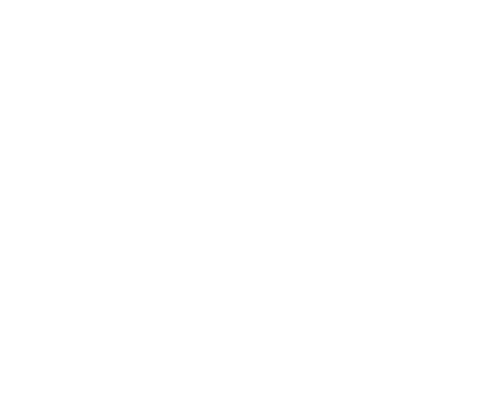  The most important thing to remember about Sonneblom-it, is that you are planting it for someone else   The flowers    