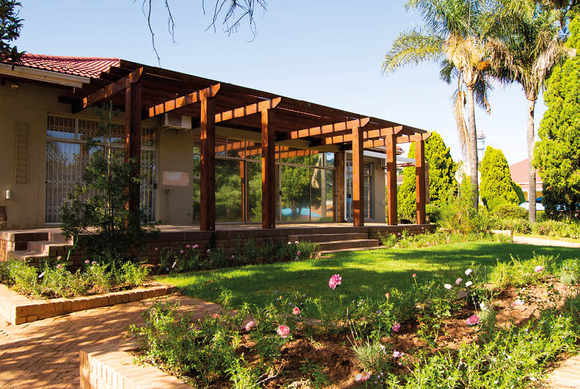 Organic Kitchen gardens