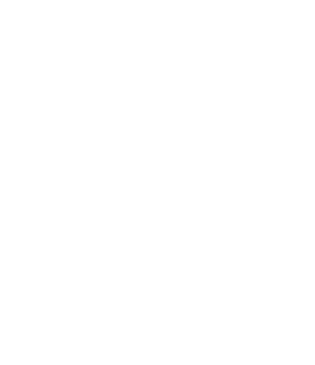  500 ml FIRST CHOICE Strawberry  Flavoured Velvet Dairy Dessert,  chilled overnight   160 g raspberries   160 g fres   