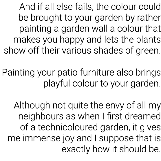 And if all else fails, the colour could be brought to your garden by rather painting a garden wall a colour that make   