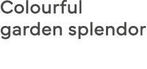 Colourful garden splendor