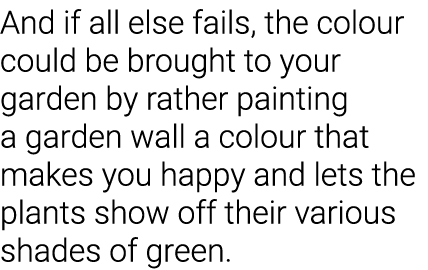 And if all else fails, the colour could be brought to your garden by rather painting a garden wall a colour that make   