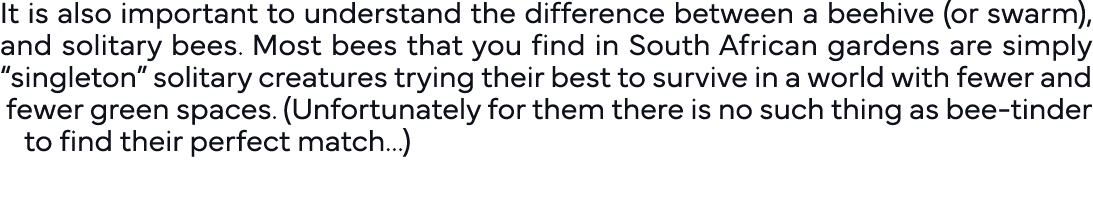 It is also important to understand the difference between a beehive (or swarm), and solitary bees  Most bees that you   