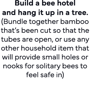 Build a bee hotel and hang it up in a tree   (Bundle together bamboo that s been cut so that the tubes are open, or u   