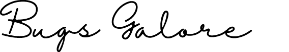 Bugs Galore