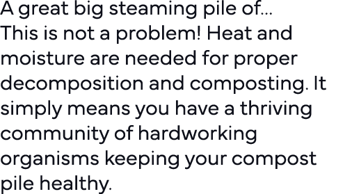 A great big steaming pile of  This is not a problem  Heat and moisture are needed for proper decomposition and compos   