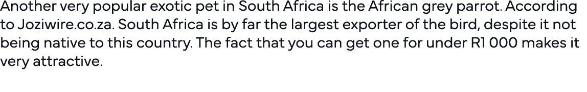 Another very popular exotic pet in South Africa is the African grey parrot  According to Joziwire co za  South Africa   