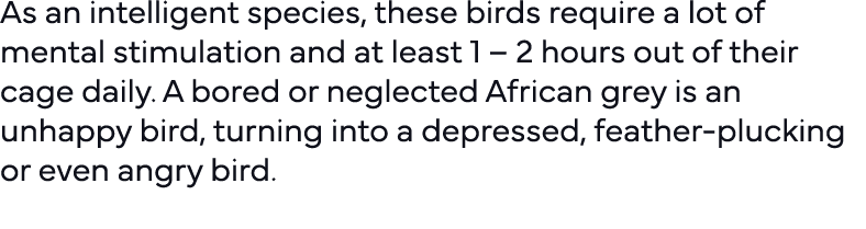 As an intelligent species, these birds require a lot of mental stimulation and at least 1   2 hours out of their cage   
