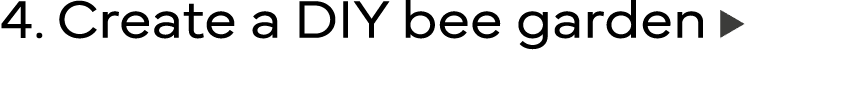 4  Create a DIY bee garden 