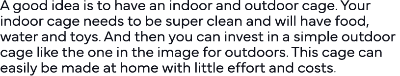 A good idea is to have an indoor and outdoor cage  Your indoor cage needs to be super clean and will have food, water   