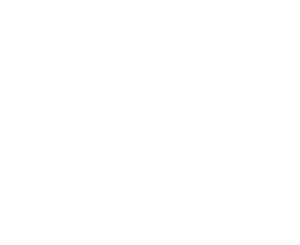 You can feed them worms, crickets and anything else your pet shop has to offer but do them a favour and stay away fro   