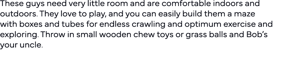 These guys need very little room and are comfortable indoors and outdoors  They love to play, and you can easily buil   