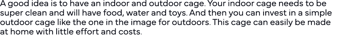 A good idea is to have an indoor and outdoor cage  Your indoor cage needs to be super clean and will have food, water   