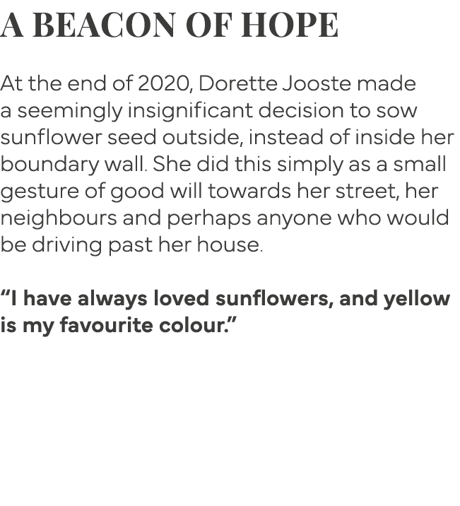 A beacon of hope  At the end of 2020, Dorette Jooste made a seemingly insignificant decision to sow sunflower seed ou   