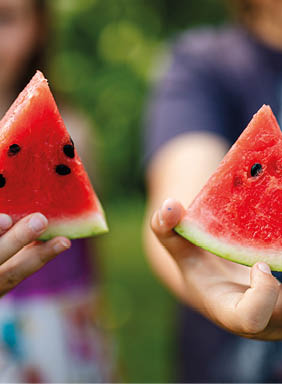 watermelon wedges for beach snack