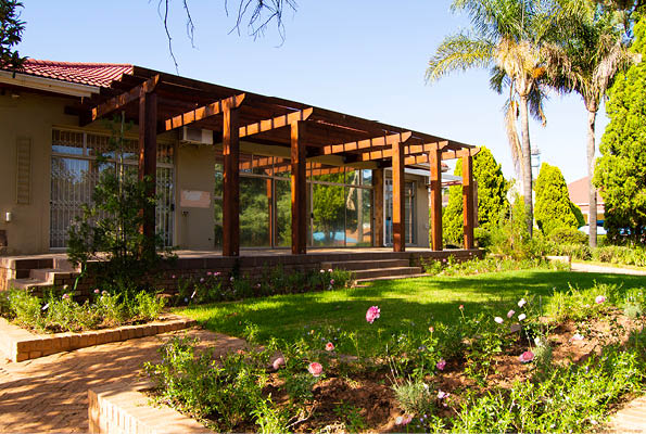 Organic Kitchen gardens