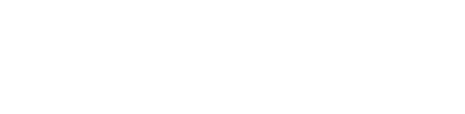 Proudly South African and ideal for those shady spots in your garden where nothing else will grow  Although orange fl   