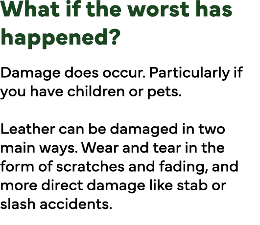 What if the worst has happened  Damage does occur  Particularly if you have children or pets  Leather can be damaged    