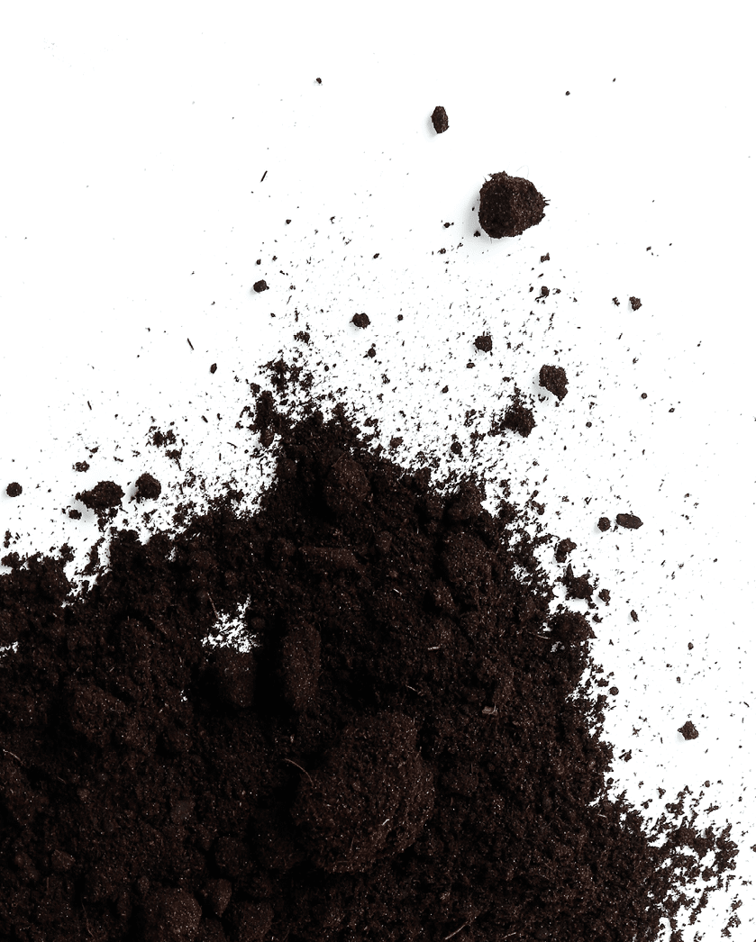 Garden, equipment  Tools for gardening