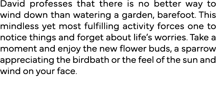 David professes that there is no better way to wind down than watering a garden, barefoot  This mindless yet most ful   