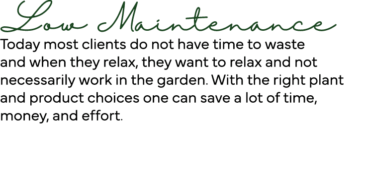 Low Maintenance Today most clients do not have time to waste and when they relax, they want to relax and not necessar   