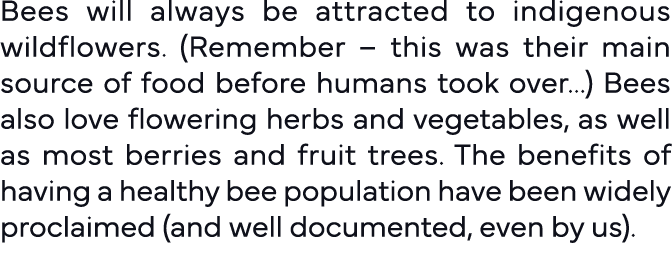 Bees will always be attracted to indigenous wildflowers  (Remember   this was their main source of food before humans   