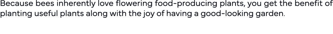 Because bees inherently love flowering food-producing plants, you get the benefit of planting useful plants along wit   