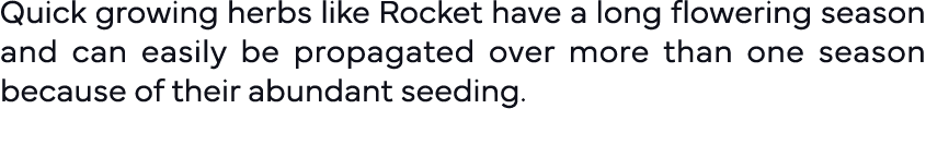 Quick growing herbs like Rocket have a long flowering season and can easily be propagated over more than one season b   