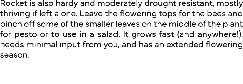 Rocket is also hardy and moderately drought resistant, mostly thriving if left alone  Leave the flowering tops for th   