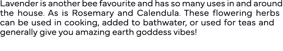 Lavender is another bee favourite and has so many uses in and around the house  As is Rosemary and Calendula  These f   