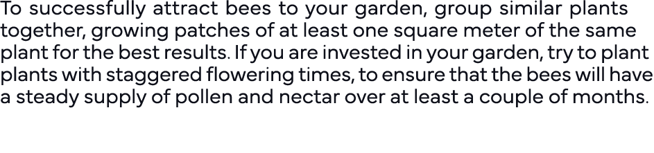 To successfully attract bees to your garden, group similar plants together, growing patches of at least one square me   