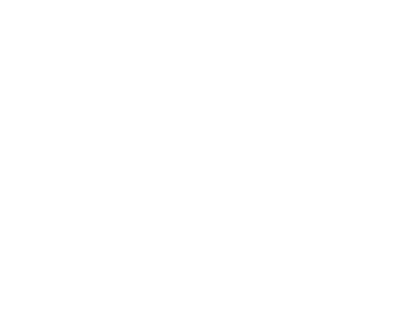How do I make my garden a bee haven  