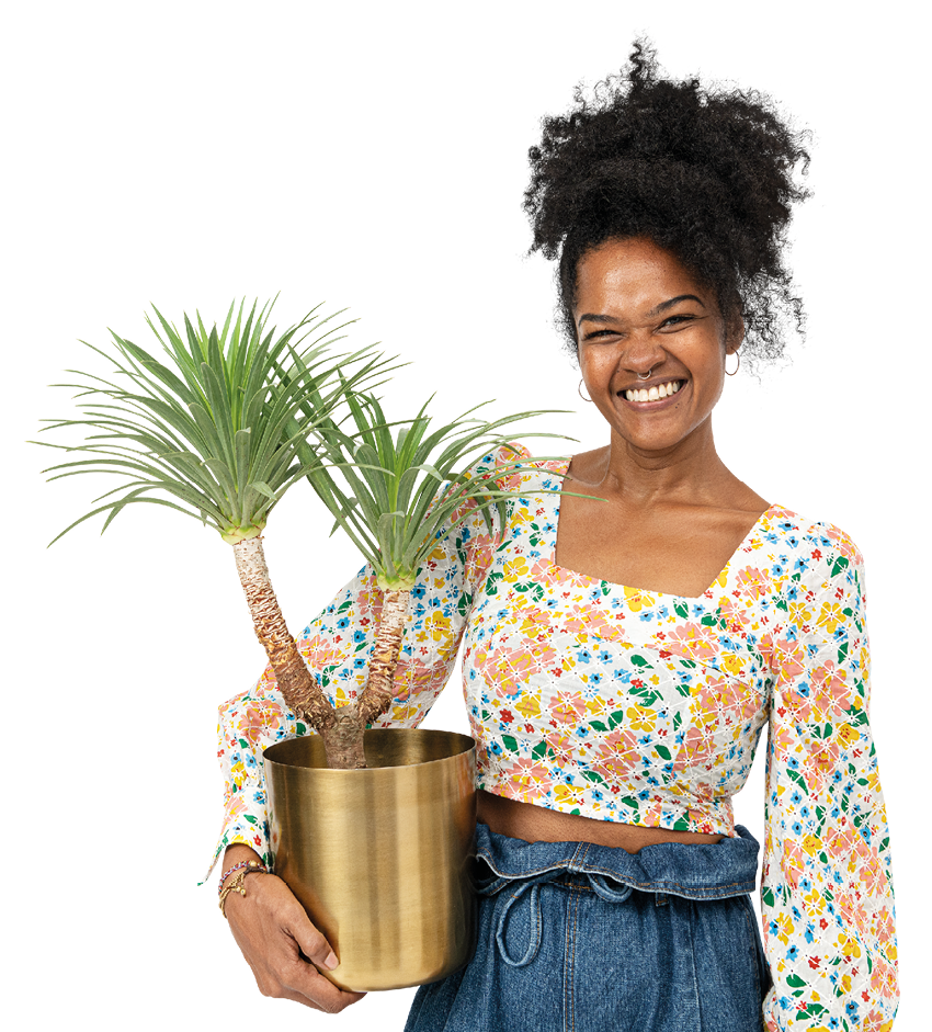 Png plant lady mockup holding potted agave