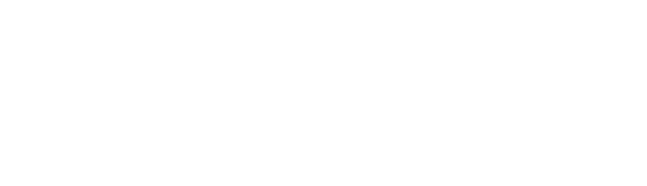 You can feed them worms, crickets and anything else your pet shop has to offer but do them a favour and stay away fro   